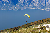 A paraglider above the Garda lake in the sunlight, Italy, Europe