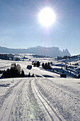 Loipe und Winterlandschaft im Sonnenlicht, Schlern, Dolomiten, Südtirol, Italien, Europa