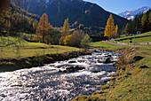 Autumn landscape with mountain stream, Falschauer stream, St. Gertraud, Ulten valley, South Tyrol, Italy