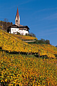 Vineyards with farmhouse and church, Schnauders, Eisacktal, South Tyrol, Italy