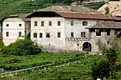 Winery with vineyards, Ortenburg, Kurtatsch an der Weinstrasse, South Tyrol, Italy