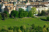 Menschen entspannen sich im Park, Talferwiesen, Talferpromenade, Bozen, Südtirol, Italien