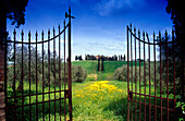 View through a garden gate at a country house, Val d´Orcia, Tuscany, Italy, Europe