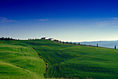 Bauernhäuser auf einem Hügel unter blauem Himmel, Val d'Orcia, Toskana, Italien, Europa