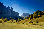 View to Sasso Lungo, Passo di Gardena, Gruppo di Sella, Dolomite Alps, South Tyrol, Italy