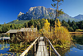 Wooden jetty on the lake, Lago di Fie, view to Monte Sciliar, Dolomite Alps, South Tyrol, Italy
