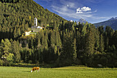 Schloss Welsberg, Pustertal,  Dolomiten, Südtirol, Italien