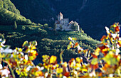 Cornedo castle, Val d' Ega, Dolomite Alps, South Tyrol, Italy