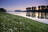 Morning mood at Birtener old arm of the Rhine river, near Xanten, Lower Rhine Region, North Rhine-Westphalia, Germany