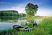 Boats on a pond, near Rindern, Lower Rhine Region, North Rhine-Westphalia, Germany