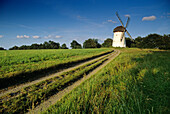 Engelsberg Windmühle, bei Krefeld, Niederrhein, Nordrhein-Westfalen, Deutschland