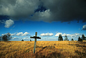 Kreuz im Hohen Venn, Hochmoor, bei Monschau, Eifel, Nordrhein Westfalen, Deutschland