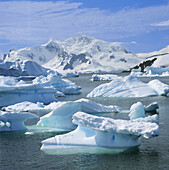 Iceberg, Antarctica