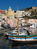 Town view of Corricella port. Procida. Bay of Naples. Campania. Italy.