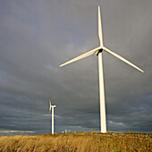 Wind turbines, Tow Law, County Durham, England, UK