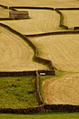 Pattern in the landscape near Gunnerside in Swaledale, Yorkshire, England, UK