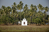 Goa India: a little church in the rice fields, on the road from Mapusa to Vagator