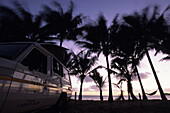 KEA 4WD, 4 wheel drive camper under palm trees at dawn, Ellis Beach, near Cairns, Queensland, Australia