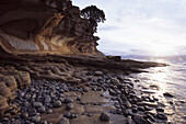 Painted Cliffs at sunset, Maria Island National Park, Tasmania, Australia