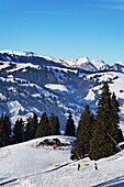 Apres Ski Horny Bar, Horneggli, Schönried, Gstaad, Berner Oberland, Kanton Bern, Schweiz