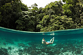 Schnorcheln in den Rock Islands, Risong Bay Mikronesien, Palau