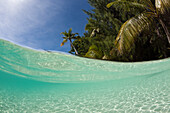 Lagoon and Palm-lined Beach, Micronesia, Palau