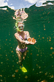 Skin Diving with harmless Jellyfish, Mastigias papua etpisonii, Jellyfish Lake, Micronesia, Palau
