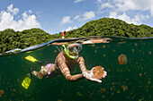 Schwimmen zwischen Quallen, Mastigias papua etpisonii, Quallensee Mikronesien, Palau