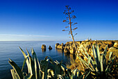 Lighthouse at the rocky coast under blue sky, Praia do Carvalho, Algarve, Portugal, Europe