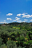 Boboli Garten, Blick über grüne Landschaft unter blauem Himmel, Florenz, Toskana, Italien, Europa
