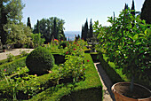 In the park of Villa Peyron al Bosco de Fontelucente, Fiesole, Tuscany, Italy, Europe