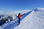 Female backcountry skiier ascending, Rosskopf, Spitzing, Bavarian Alps, Bavaria, Germany