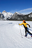 Woman cross-country skiing near Schluderbach, Cristallo range, Dolomites, Veneto, Italy