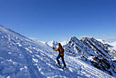 Woman backcountry skiing ascending Zischgeles, Sellrain, Stubai range, Tyrol, Austria
