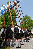 Setting up the Maypole, Bad Aibling, Upper Bavaria, Bavaria, Germany