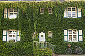 Bewachsene Hausfassade, Essen, Ruhrgebiet, Nordrhein-Westfalen, Deutschland
