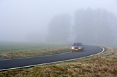 Foggy morning. Southern Bohemia, Czech Republic