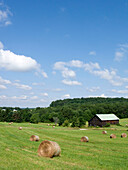 Bayles of hay in field
