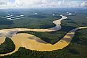 Rainforest and Kinabatangan River, Sabah, Borneo island, Malaysia