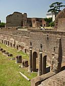 Roman Forum. Rome. Italy