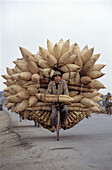 Cyclist carrying fish pots, Hanoi road, Vietnam