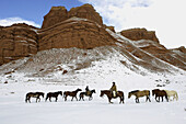 Horses galloping through the snow in Shell, Wyoming, Usa