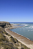 Sea lions on beach, Peninsula Valdes. Argentina