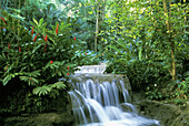 Waterfalls, Ocho Rios, Jamaica, West Indies