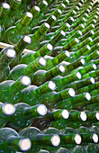 Wine bottles in a bottle rack