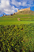 Castle, Medellin. Badajoz province, Extremadura, Spain