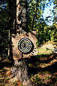 Dartboard on a tree, Saimaa Lake District, Finland, Europe