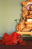 Lesender buddhistischer Mönch in der Shwedagon Pagode, Rangoon, Myanmar, Birma, Asien
