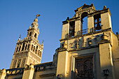 Giralda tower and Cathedral, Sevilla. Andalucia, Spain.