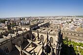 Cathedral and view from Giralda tower, Sevilla. Andalucia, Spain.
